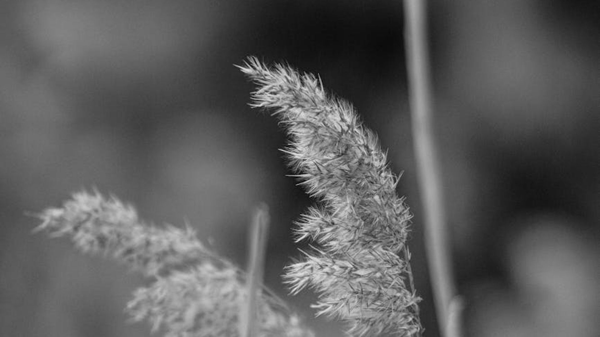 A serene and minimalist space suggesting calm and focus.